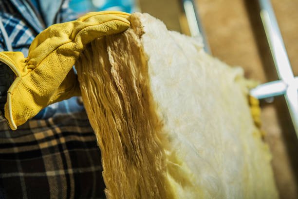Best Insulation for New Construction  in Idalou, TX