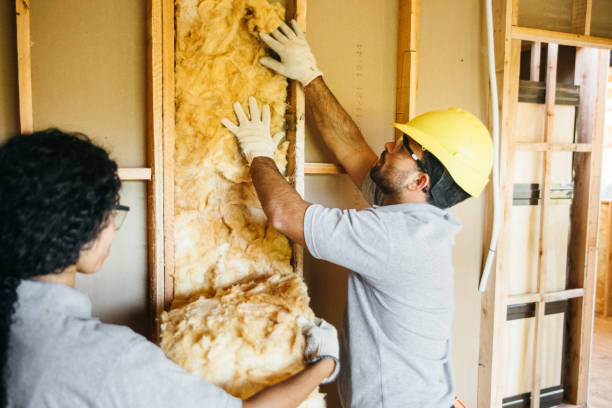 Best Wall Insulation Contractor  in Idalou, TX