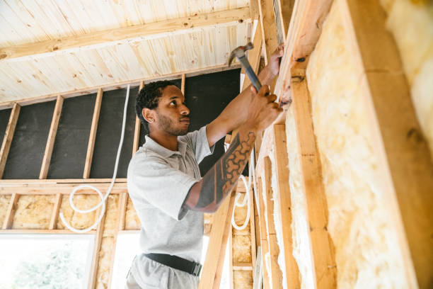 Best Professional Insulation Contractor  in Idalou, TX
