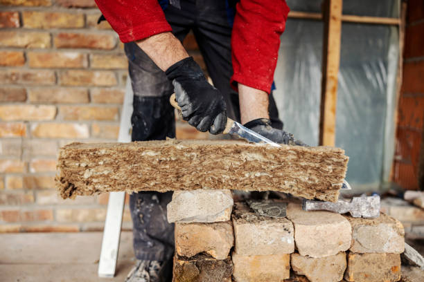 Best Insulation Contractor Near Me  in Idalou, TX